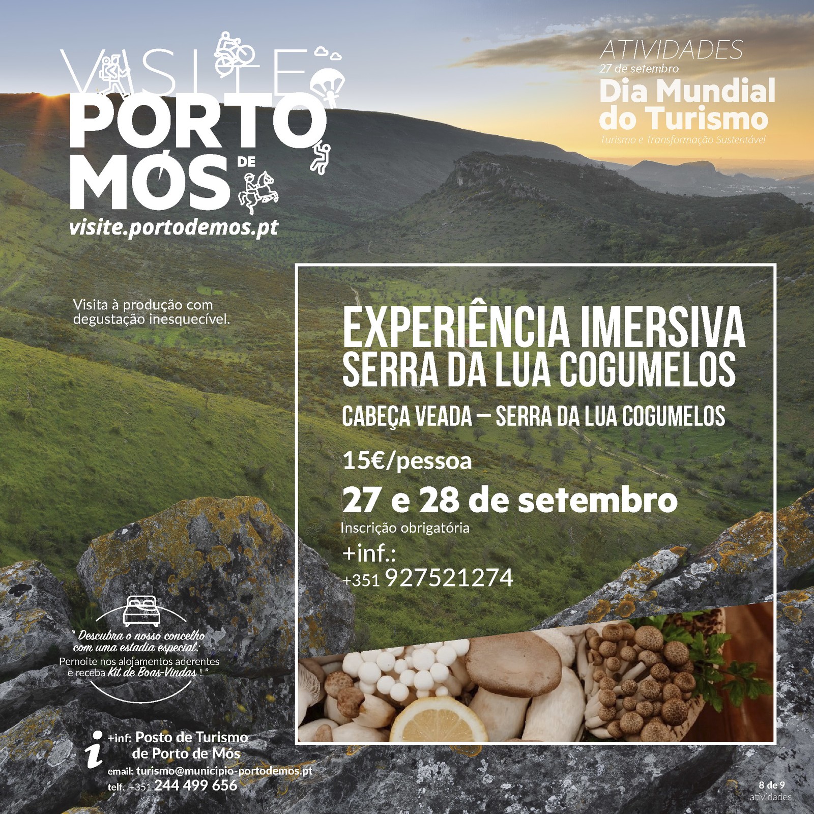 Experiência Imersiva – Serra da Lua Cogumelos