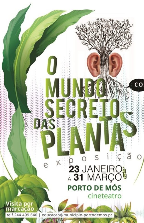 mupi_pq_o_mundo_das_plantas_01___site