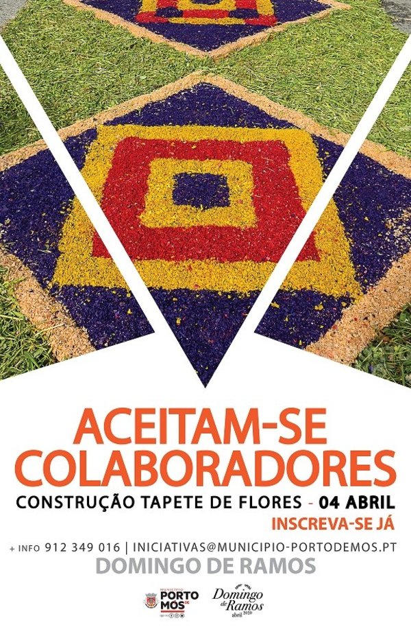 a3_pedido_de_apoio_tapete_03_03_03_site