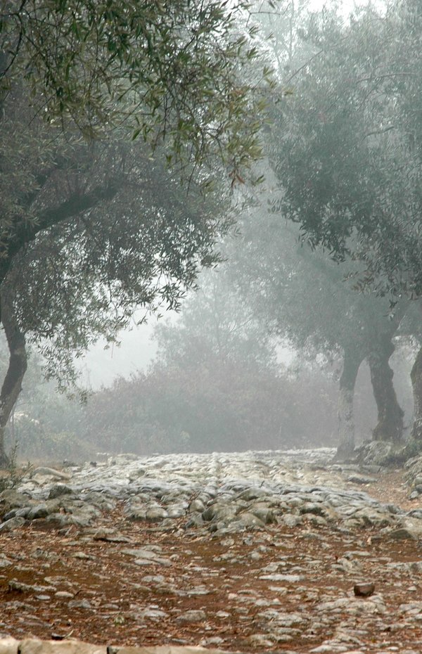 estrada_romana_alqueidao_serra_bs_01