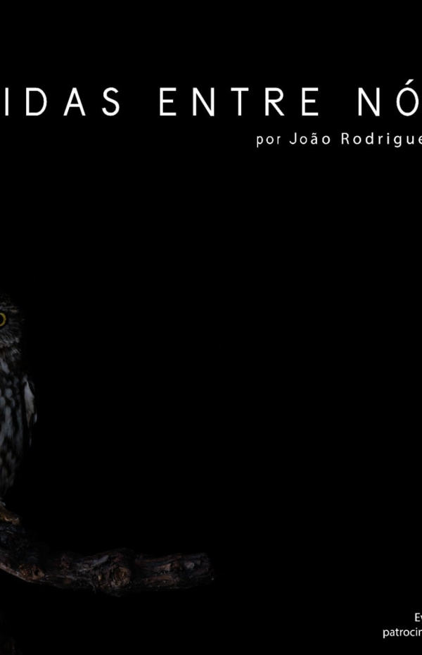 cartaz_vida_entre_nos