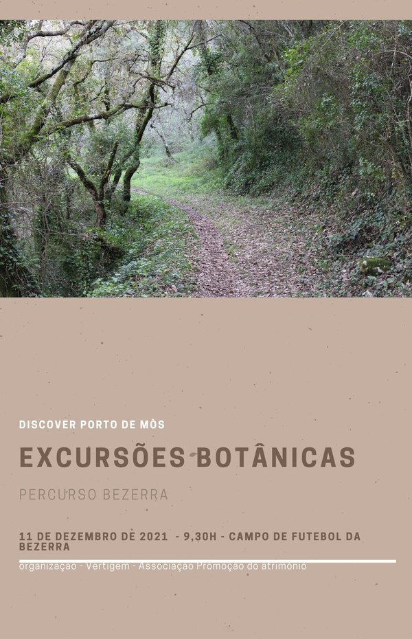 cartaz_207