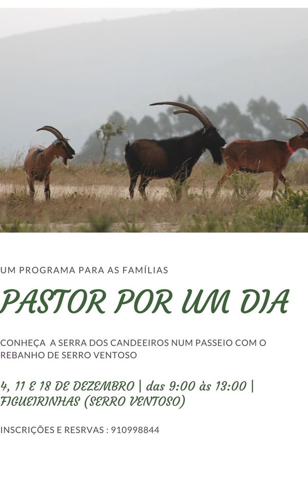 cartaz_209