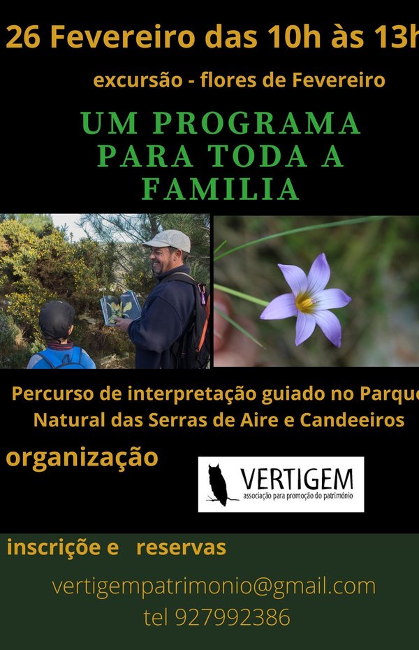cartaz_242