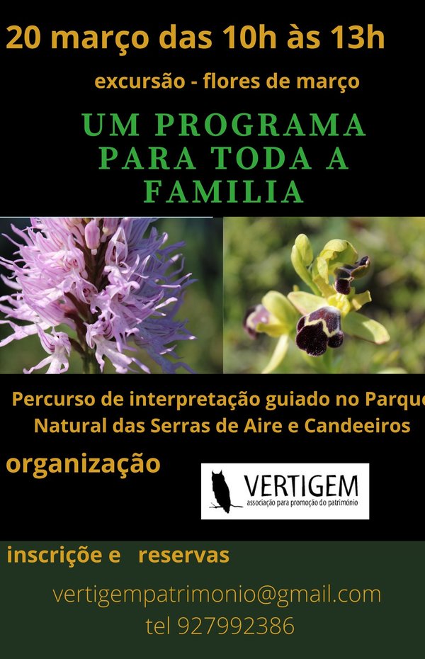 cartaz_290