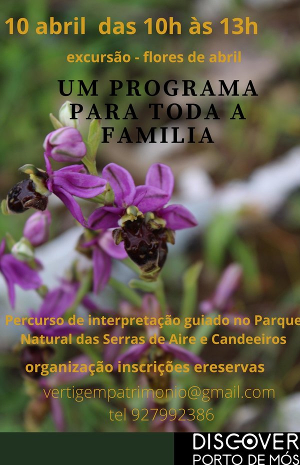 cartaz_311