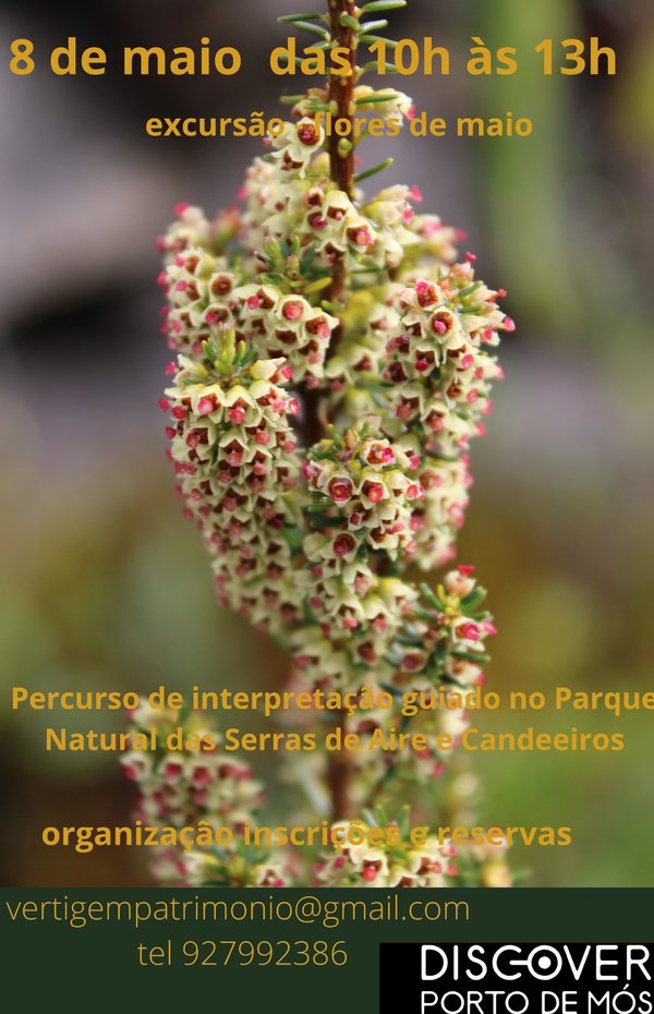 cartaz_352