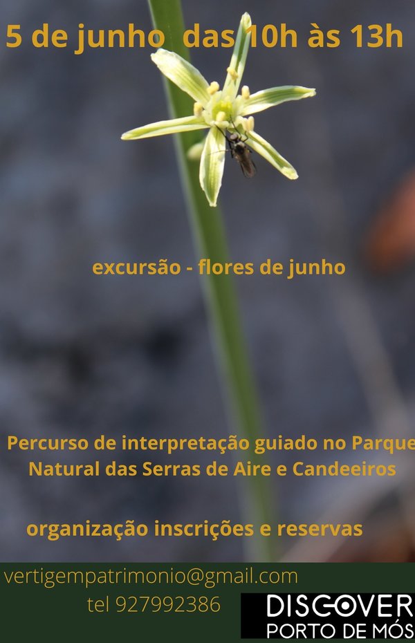 cartaz_393