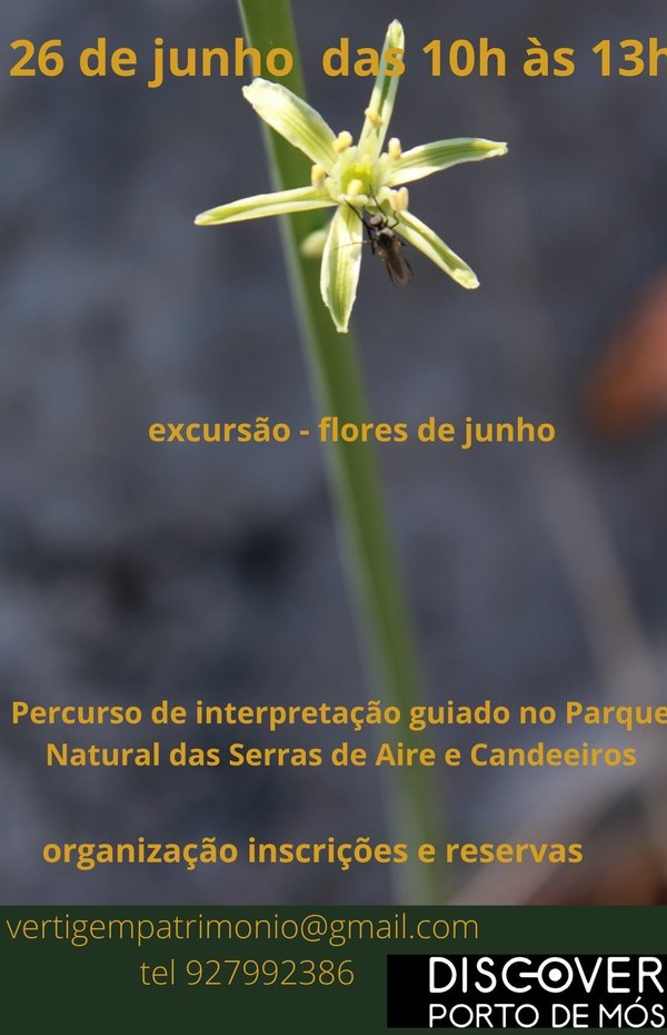 cartaz_420