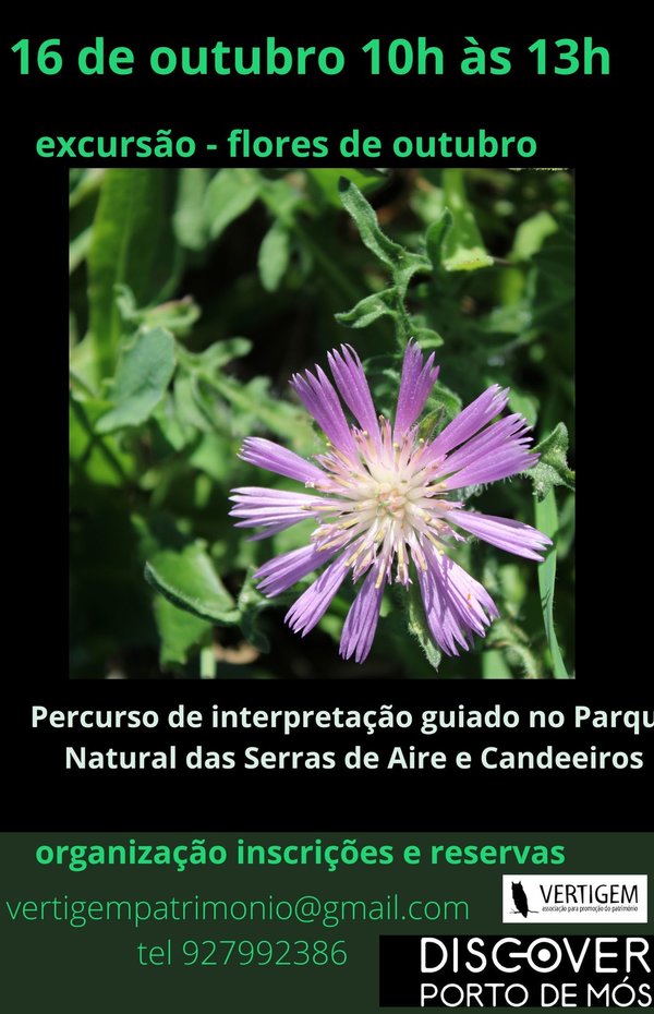 cartaz_511