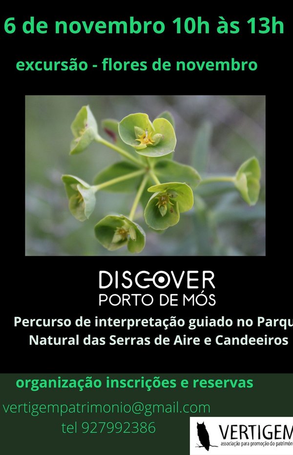 cartaz_524