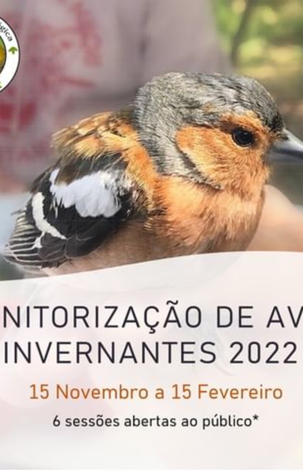 313095471_519088766422493_7571089872217983665_n