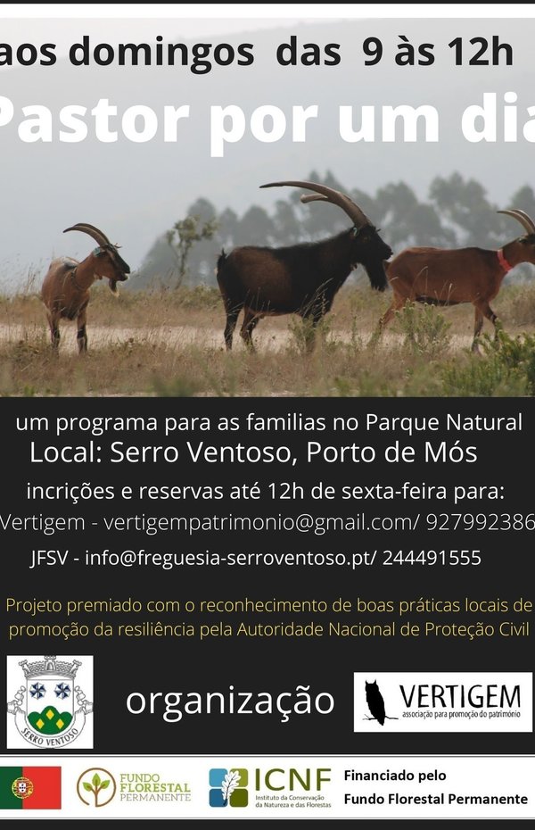 cartaz_523