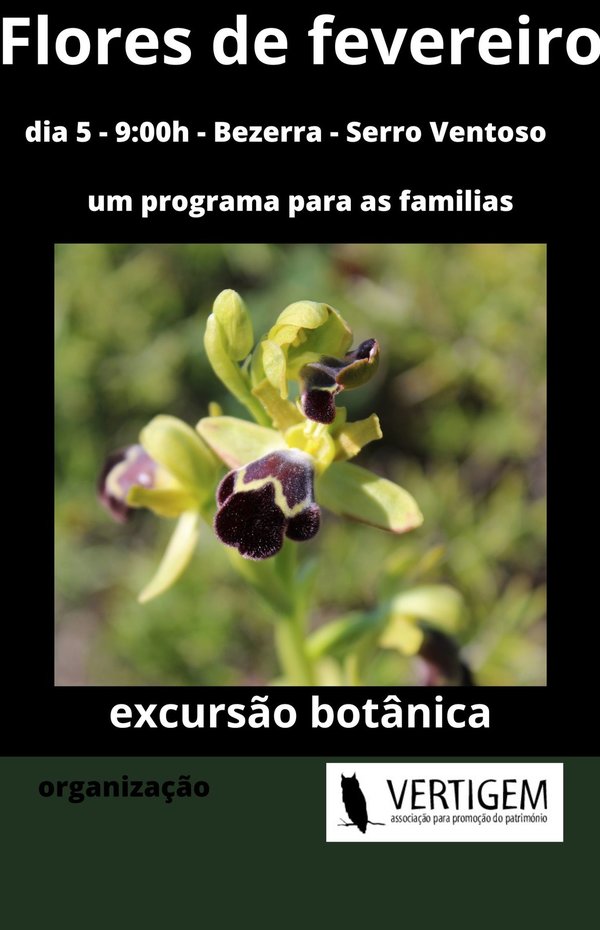 cartaz_630