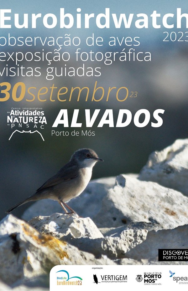 cartaz_829_1_