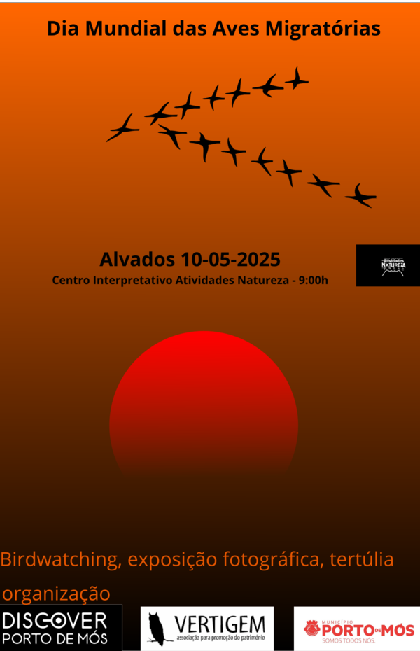 cartaz_1351