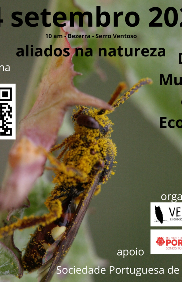 cartaz_1471