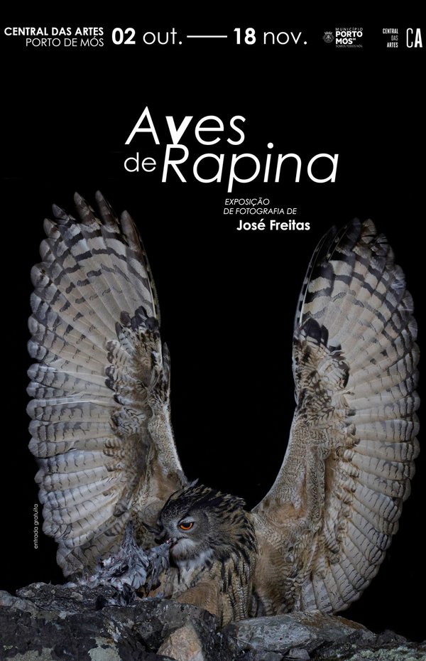 cartaz_aves_de_rapina_02