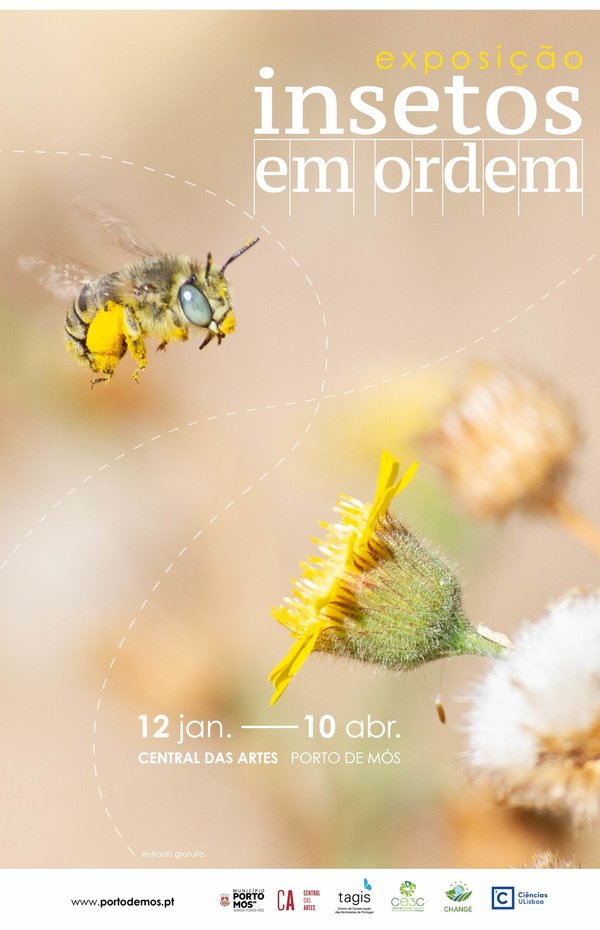 cartaz_insetos_em_ordem_02