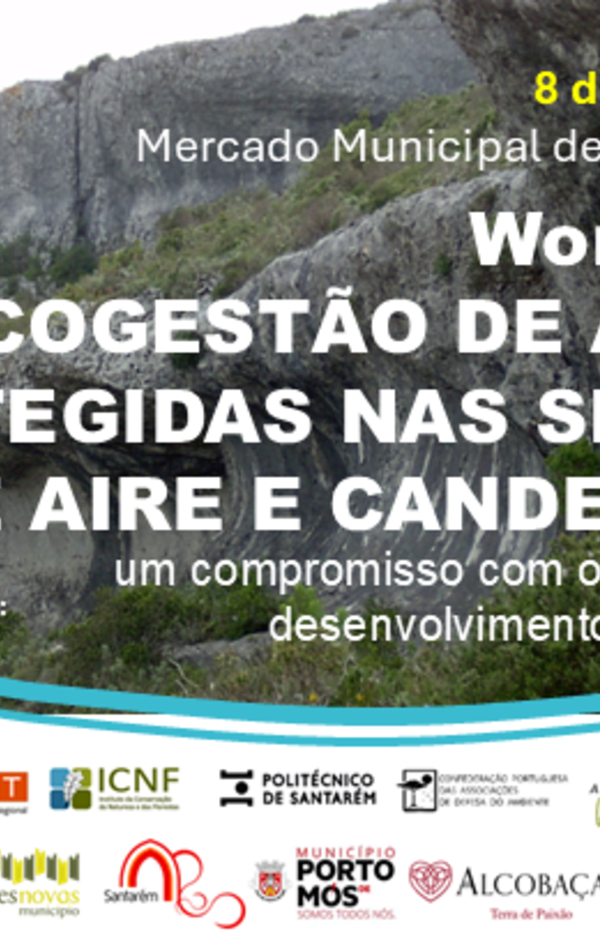 cartaz_cogestao_alcanena_8_de_julho2025__1_