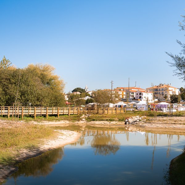 festival_viver_2281