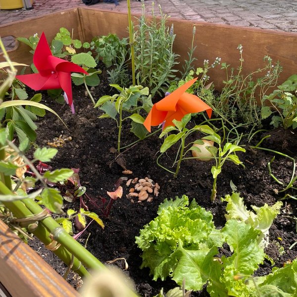 vamos_por_as_maos_na_terra