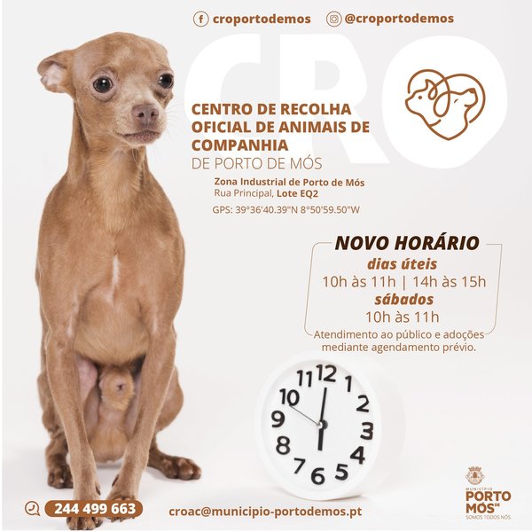 cro_novo_horario