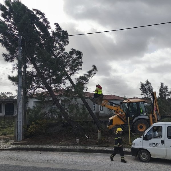 852fbb76_0fb6_4afc_afd0_2e591bc1757d