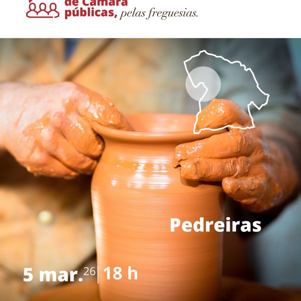 pedreiras_reuniao_de_camara_descentralizada_2026