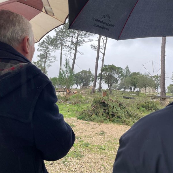 whatsapp_image_2026_03_10_7_