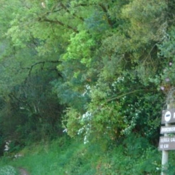 desporto_lazer_s_joao_pp_serra_galega