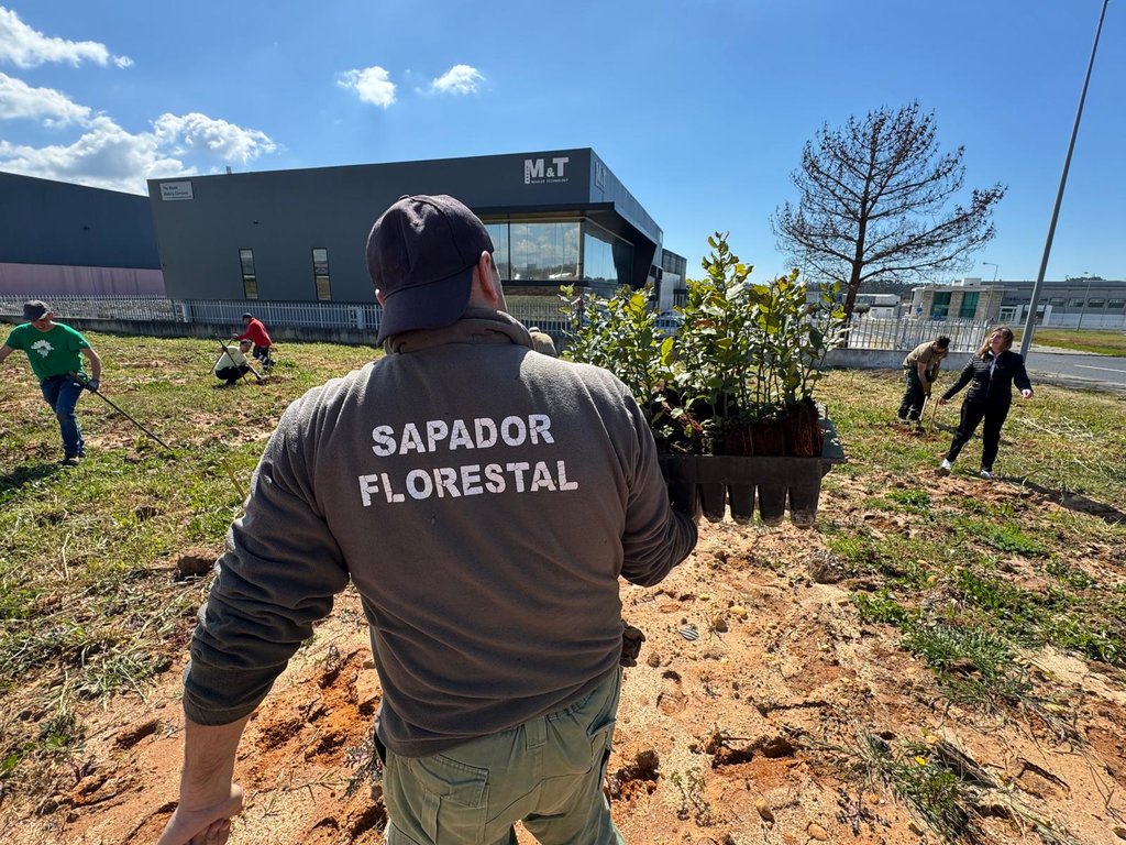 plantacao_03