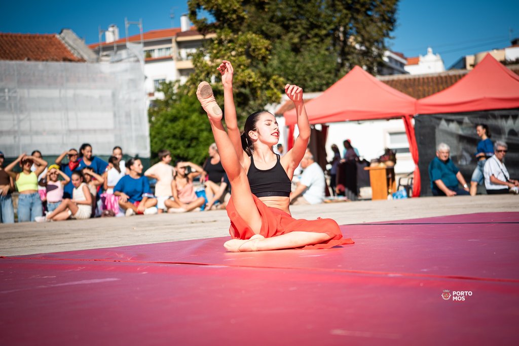 DiarteDance (17)