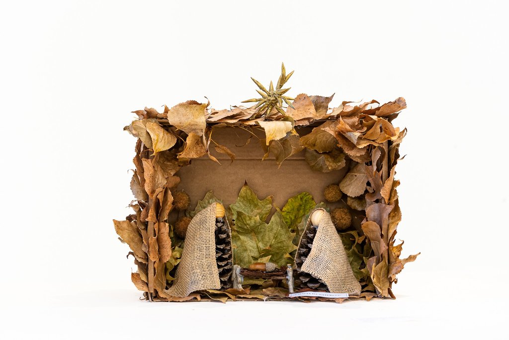 Categoria B – Juvenil 2.º Prémio “A Magia da Natureza” de Duarte Cordeiro