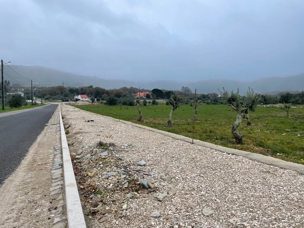 WhatsApp Image 2026-01-09 at 15.29.46(5)