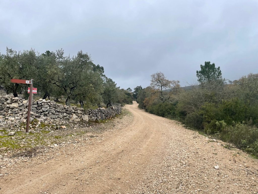 WhatsApp Image 2026-01-09 at 15.29.46(15)