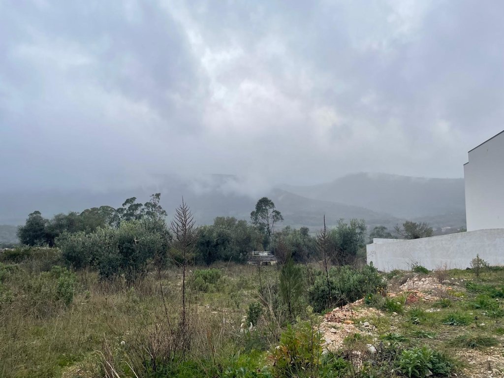 WhatsApp Image 2026-01-09 at 15.29.46(16)