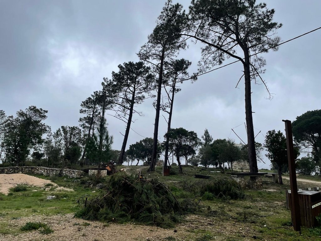 WhatsApp Image 2026-03-10 at 15.56.35 (3)