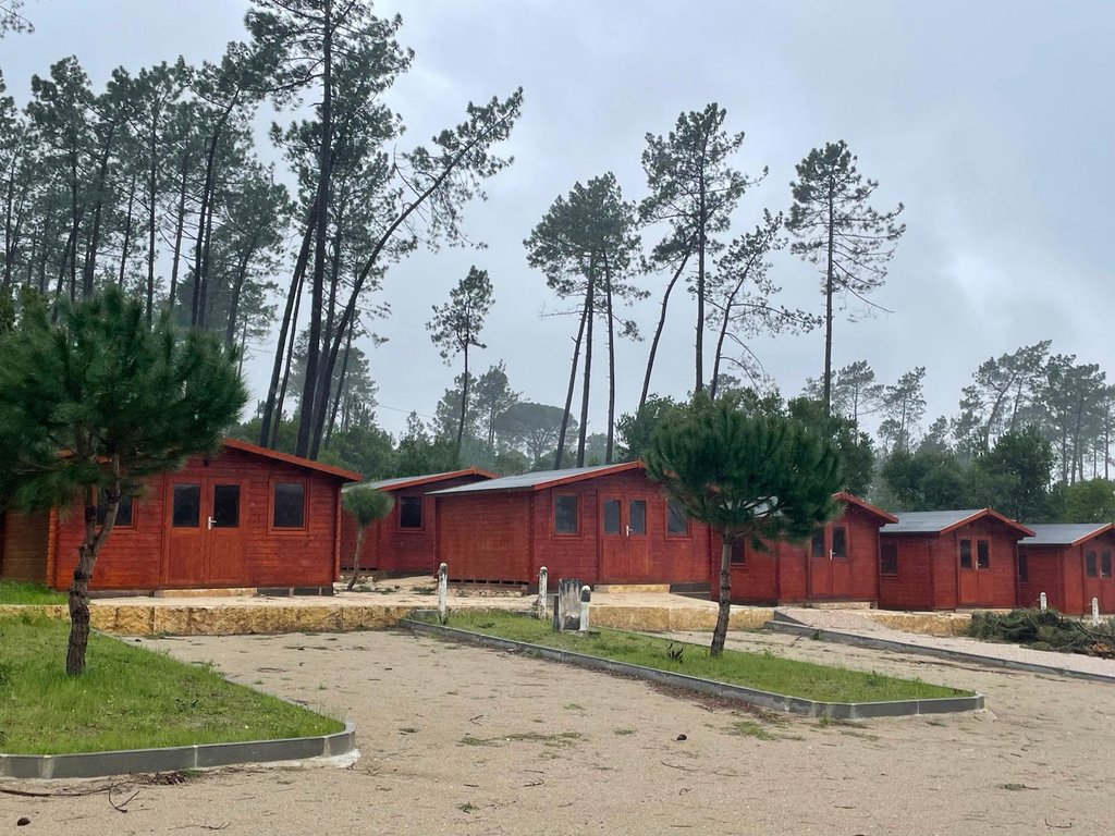 WhatsApp Image 2026-03-10 at 15.56.35 (9)