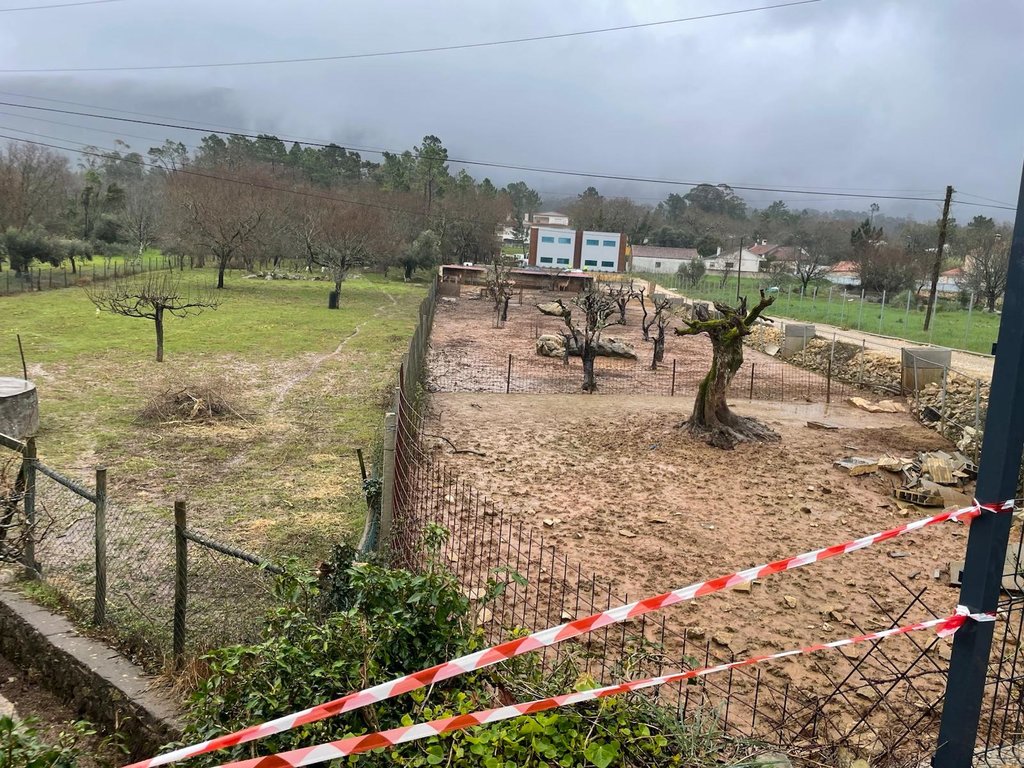 WhatsApp Image 2026-03-10 at 15.56.35 (20)