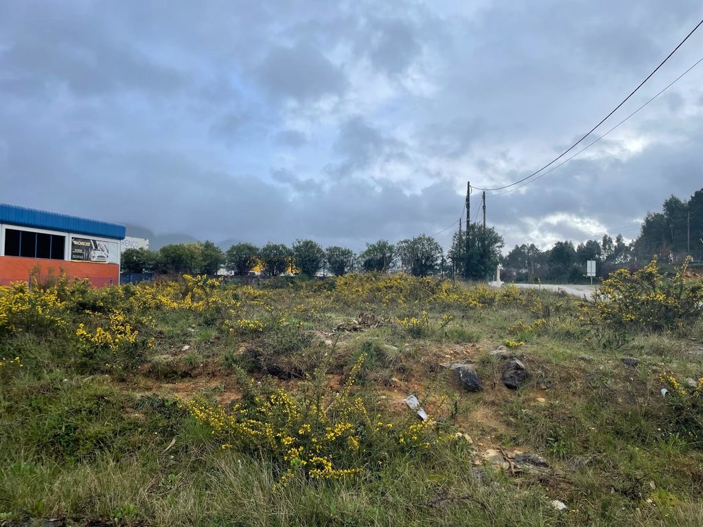 WhatsApp Image 2026-03-10 at 15.56.35 (41)