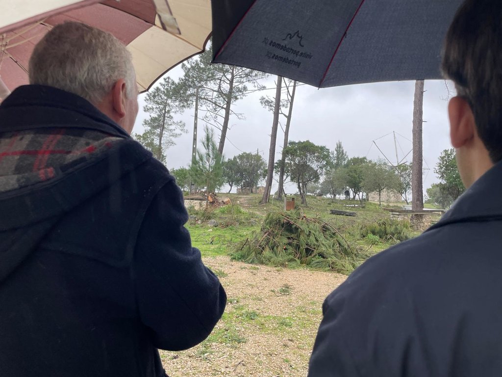 WhatsApp Image 2026-03-10(7)