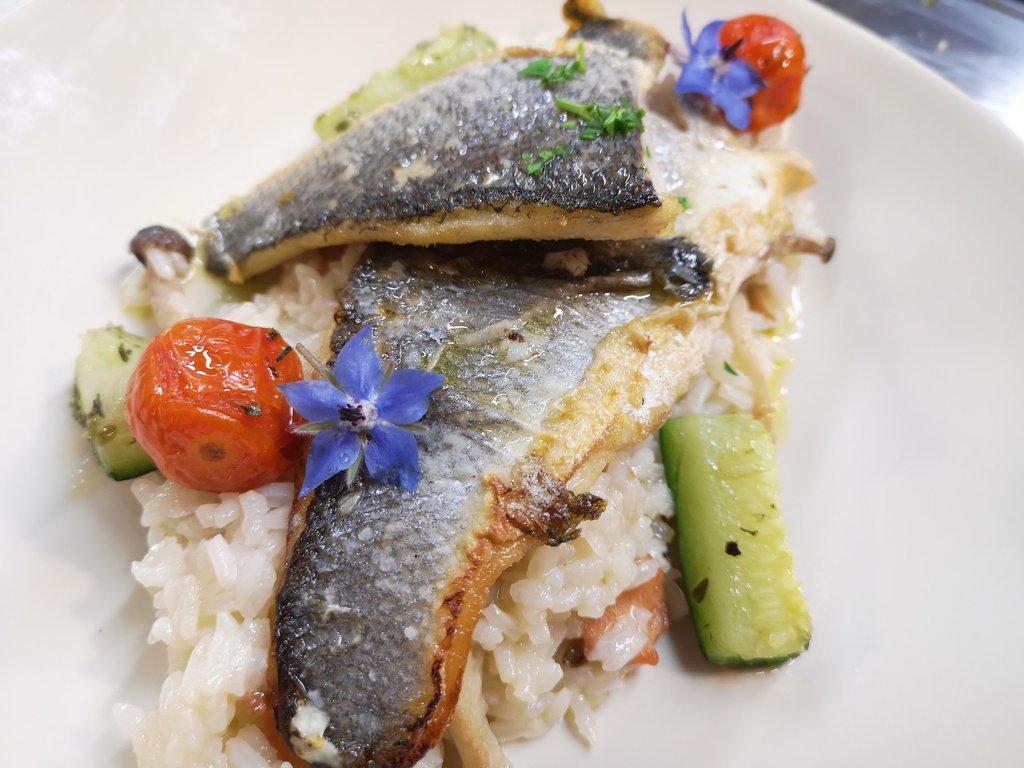 62602354_686973058423350_5852571369539108864_o