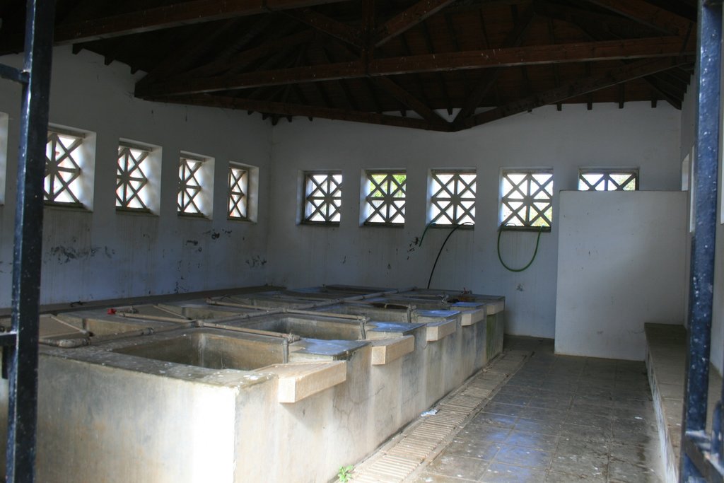 lavadouro_alcaria_tu_08