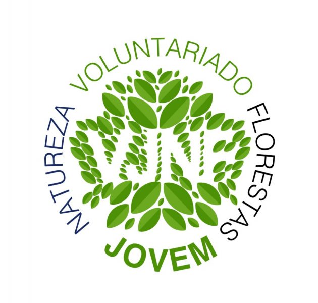 Voluntariado jovem logo 1 1024 2500