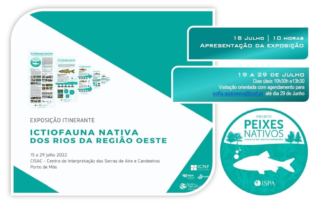 Exposicao cisac 1 1024 2500