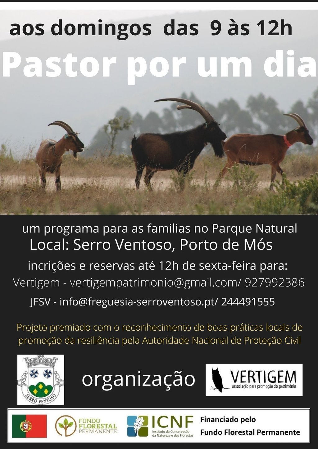 Cartaz 523 1 1024 2500