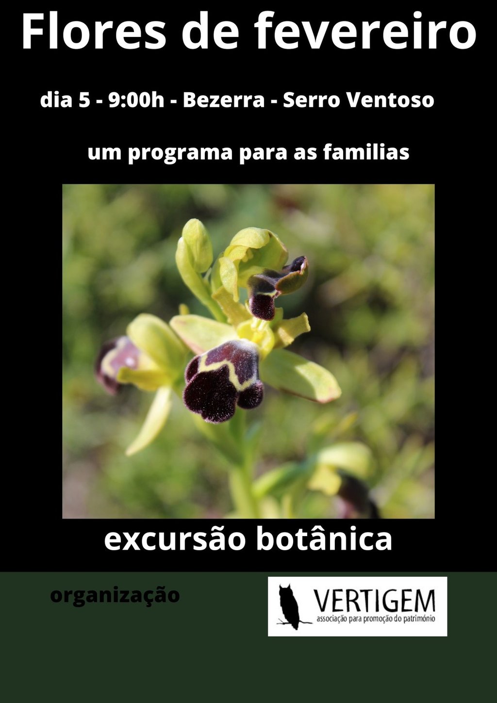 Cartaz 630 1 1024 2500