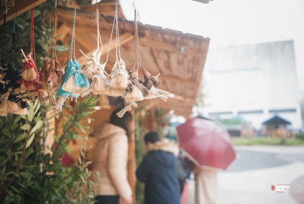 265740004_5032496153456775_8338957189116445302_n