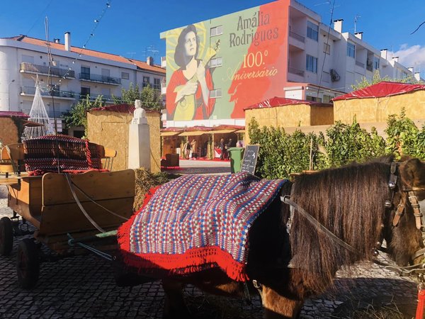 318104681_6125839730789073_6047403929587145988_n